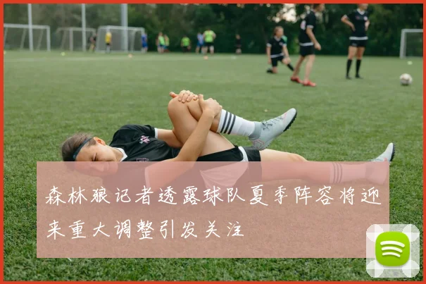 森林狼记者透露球队夏季阵容将迎来重大调整引发关注